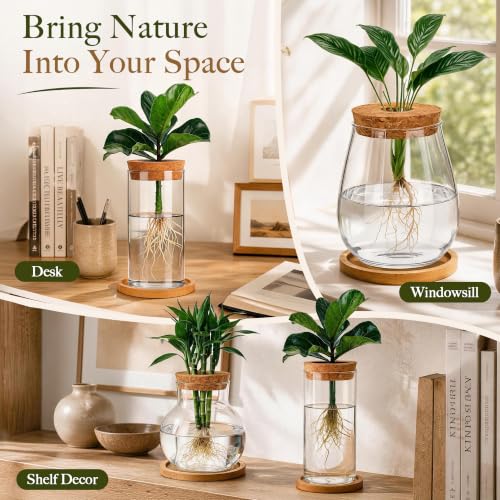 6 Pcs Plant Propagation Station Set, Glass Propagation Vases for Plants with Wooden Lids & Bamboo Stands, Hydroponic Vase Jars for Plant Cuttings, Terrarium Planters for Desk, Home Office Decor