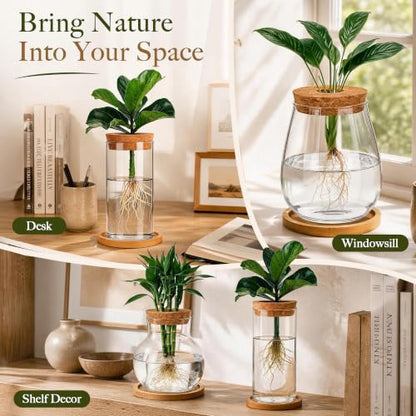 6 Pcs Plant Propagation Station Set, Glass Propagation Vases for Plants with Wooden Lids & Bamboo Stands, Hydroponic Vase Jars for Plant Cuttings, Terrarium Planters for Desk, Home Office Decor