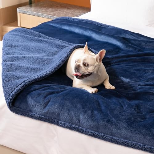 Navy Blue Dog Blanket for Pets Reversible Fluffy Pet Bed Cover Mats Waterproof Puppy Blankets Leakproof Sofa Couch Washable Cover Cat Pet Blanket for Warm-Navy Blue,M - color: Navy Blue, size: M-100*145cm(40*57in)