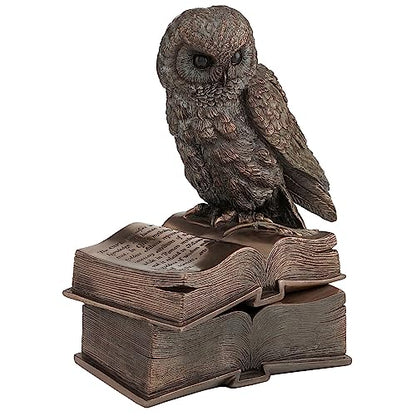 Veronese Design 7 1/8 Inch Owl Perched On Top of Books Cold Cast Resin Bronze Finish Trinket Stash Box