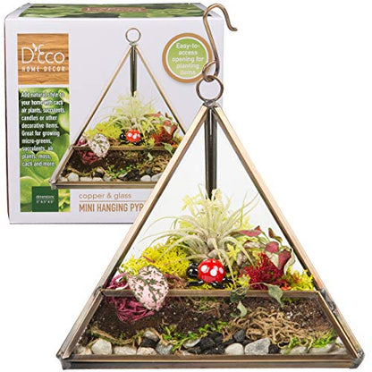 D'Eco Glass Copper Mini Triangle Tabletop or Hanging Planter Terrarium | Geometric Planter Terrarium, Fill Display w Succulents, Moss, Air Plants, Ferns, Home, Wedding & Office Decor, Dims:5x5x5"