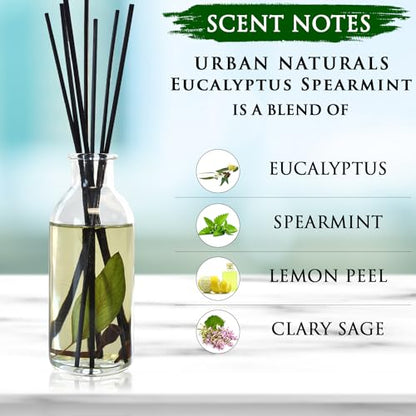 Reed Diffuser Set, Eucalyptus Spearmint - Stress Relief | Fragrance your Space, Fresh Scented Room Freshener and Home Decor, Home Gift Idea. Vegan - color: Eucalyptus Spearmint