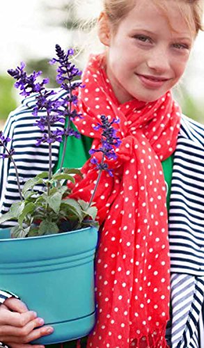 Bloem Saturn Planter with Saucer, 5", Amaranth (SP0522) - color: Amaranth, size: 5"
