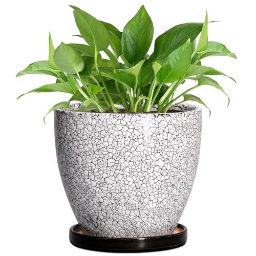 Ceramic Plant Pots - 6 Inch Planters for Indoor Plant, White-Black | Round Plant Pot with Drainage Hole and Saucer, Ceramic Succulent Pots, Desk House Decor, Gardening Gifts for Women - color: Black-wood Crack, size: 6 Inch