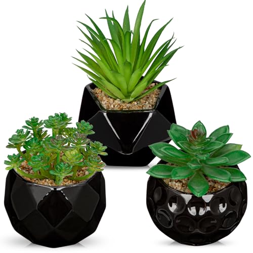 Briful Artificial Succulents Plants in Ceramic Pots, 3 Pack Faux Succulent Set with Black Geometric Planters – Modern Desk Decor for Home Office Shelf Bathroom, Small Fake Plants Potted - color: Black# 3pcs