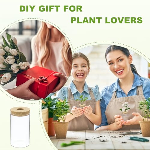 M METERXITY 1 Pack Glass Planter Terrarium with Wooden Cover, Desktop Plant Propagation Station Clear Vase for Hydroponic Plants Propagation/Home Garden Decor/Plant Lover [3.35'' x 5.91''] - size: 3.35'' x 5.91''
