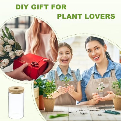 M METERXITY 1 Pack Glass Planter Terrarium with Wooden Cover, Desktop Plant Propagation Station Clear Vase for Hydroponic Plants Propagation/Home Garden Decor/Plant Lover [3.35'' x 5.91''] - size: 3.35'' x 5.91''