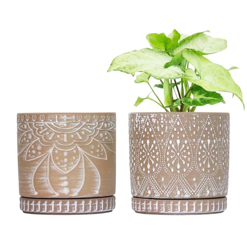 6 Inch Indoor Plant Pots with Drainage Holes and Saucers, Ceramic Planter for Plants, Flower Pot - Set of 2 - color: Clay+white, size: 6Inch+6Inch