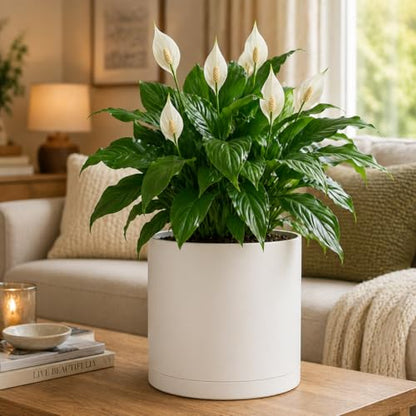Giraffe Creation 14 Inch Cylinder Plant Pot, Modern Round Planter with Drainage Holes and Saucer, Durable Plastic Flower Pot for Indoor Outdoor Plants, White - color: White 14 Inch