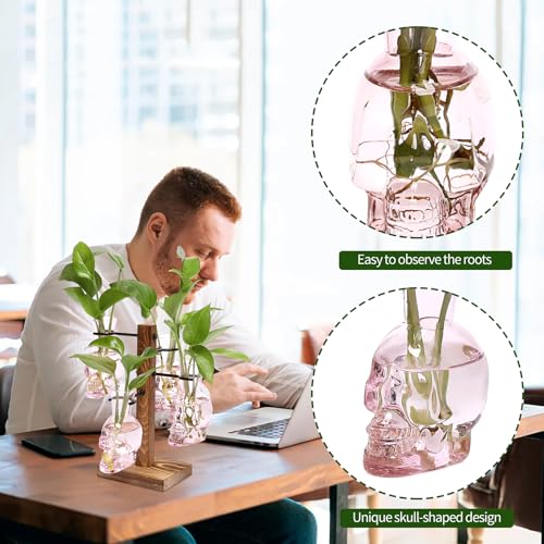 Plants Propagation Stations Skull Glass Propagation Birthday Gift for Women | Garden Plant Lovers - 4 Skull - color: Pink
