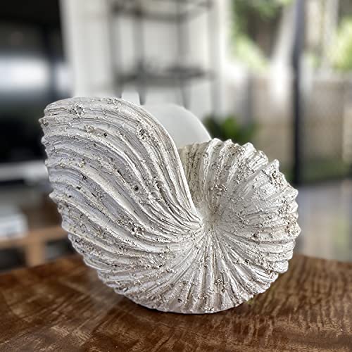 Large Nautilus Shell Sculpture, White Seashell Beach Decor | Rustic white polyresin nautilus replica; 9.8 x 5.9 x 7.9 in; coastal shelf, tabletop, ocean-theme decor; gift boxed