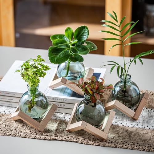 Plant Propagation Station, Plant Terrarium with Wooden Stand for Hydroponic Plant Propagation, Propagation Vases for Plants, Green Glass Bulb Vases for Home Office Decor (2)