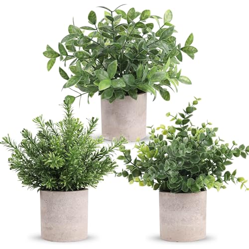 Der Rose 3 Pack Fake Plants Mini Faux Plants for Shelf Classroom Decor | Green eucalyptus, eco-friendly paper pulp pot, adjustable stems, pet child safe, office desk kitchen bathroom decor - color: Green