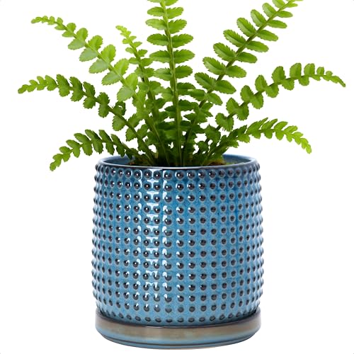 D'vine Dev Beaded Ceramic Pot with Saucer, 6 in, Ocean Teal, 27-C-X-8 | Embossed Dot Texture, Smooth Glazed Finish, Timeless Vintage Charm, Drainage Holes, Stylish Accent for Modern Home Décor - color: Ocean Teal, size: 5.8 Inch