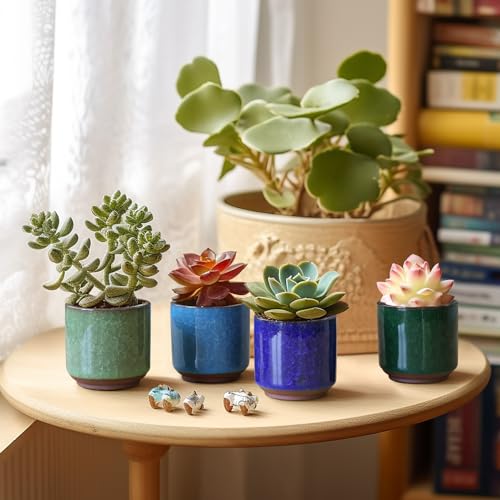 T4U 2.5 Inch Small Ceramic Succulent Planter Pot with Drainage Hole Set of 6, Ice Crack Glaze Plant Container for Cactus, Succulent Plant Gifts for Women Mom Aunt Home Office Decor | Deep root containers, for small cactus plants, bonsai tree starter pots,
