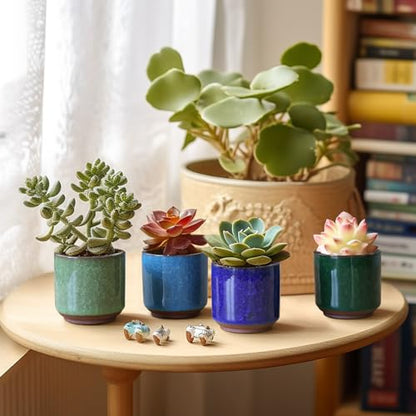 T4U 2.5 Inch Small Ceramic Succulent Planter Pot with Drainage Hole Set of 6, Ice Crack Glaze Plant Container for Cactus, Succulent Plant Gifts for Women Mom Aunt Home Office Decor | Deep root containers, for small cactus plants, bonsai tree starter pots,