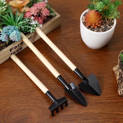 DOITOOL 6pcs Mini Gardening Tools Set with Wood Handle – Mini Trowel, Rake Shovel for Planting, Transplanting, Weeding – Compact Hand Tools for Bonsai and Indoor Outdoor Garden Use
