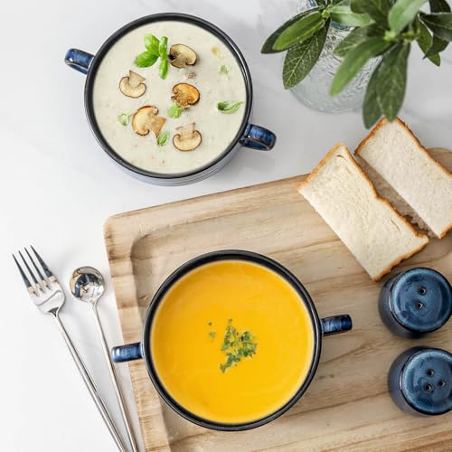 HASENSE French Onion Soup Bowls with Handles, 20 Oz Ceramic Soup Crocks Set of 2, Stackable Serving Bowls for Chili, Stew, Cereal & Pasta, Microwave Dishwasher Safe, Blue Farmhouse Kitchenware - color: Blue, size: Set of 2