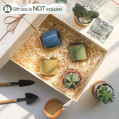 T4U 2.5 Inch Small Ceramic Succulent Planter Pot with Drainage Hole Set of 6, Ice Crack Glaze Plant Container for Cactus, Succulent Plant Gifts for Women Mom Aunt Home Office Decor | Deep root containers, for small cactus plants, bonsai tree starter pots,