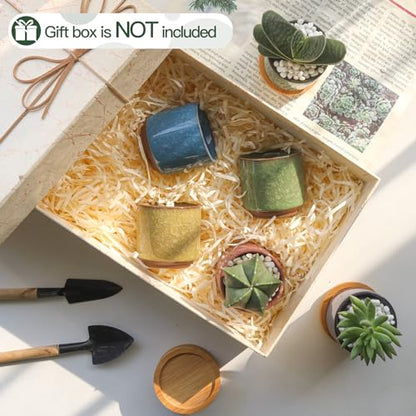 T4U 2.5 Inch Small Ceramic Succulent Planter Pot with Drainage Hole Set of 6, Ice Crack Glaze Plant Container for Cactus, Succulent Plant Gifts for Women Mom Aunt Home Office Decor | Deep root containers, for small cactus plants, bonsai tree starter pots,
