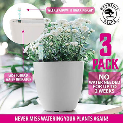 Self Watering Pots for Indoor Plants 3 Pack - Flower Pot with Water Level Indicator for Plants, Grow Tracking Tool - Self Watering Planter Plant Pot - Coco Coir - White