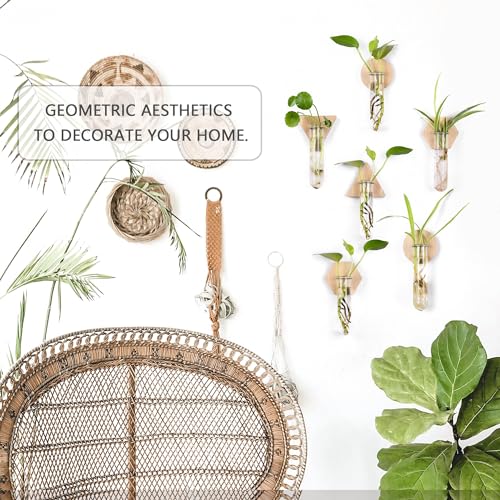 Wall Hanging Glass Planter Plant Propagation Station | Test Tube Vase, Wall Mounted Self-Adhesive Wooden Hydroponic Planter, for Home Office Wall Decor