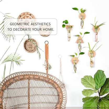 Wall Hanging Glass Planter Plant Propagation Station | Test Tube Vase, Wall Mounted Self-Adhesive Wooden Hydroponic Planter, for Home Office Wall Decor