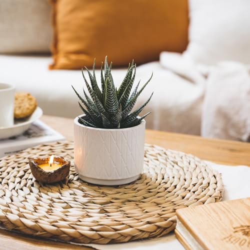 Kurrajong Farmhouse Artificial Succulent Plant in Matte White Ceramic Pot | 7" high Dark Green Aloe Plant | Great as Desk Decor or Bathroom Decor | Beautiful Realistic Faux Succulent