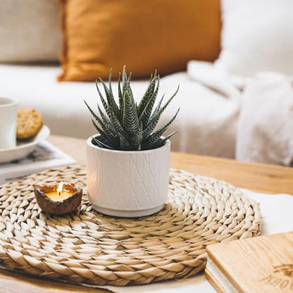Kurrajong Farmhouse Artificial Succulent Plant in Matte White Ceramic Pot | 7" high Dark Green Aloe Plant | Great as Desk Decor or Bathroom Decor | Beautiful Realistic Faux Succulent