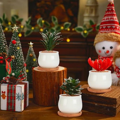 SHECIPIN Succulent Pots, White Mini 2.5 inch Ceramic Flower Planter Pot with Bamboo Tray, Pack of 12 - Plants Not Included - color: 12 Pack White Mini