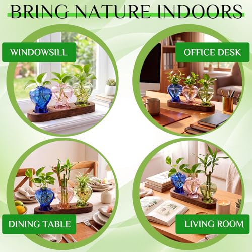 Zhehao 3 Pcs Plant Propagation Stations with Wooden Stand Heart Shaped Propagation Vases for Indoor Plants Home Office Desk Decor Gardening Gifts for Women Mom Birthday Gifts for Plants Lovers