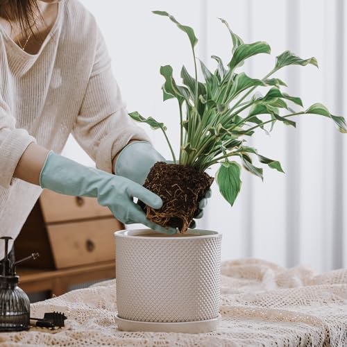 8 Inch Plant Pot: Ceramic Planter with Drainage Hole & Saucer Indoor Outdoor Plants - Flowerpot with Bonded Tray for Home Office - Beaded Embossed Style, Cream White | Indoor/Outdoor Plant Pot with Tray - Flowerpot for Home/Office - Beaded Embosse, Cream