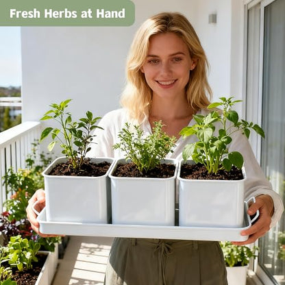 Indoor Herb Garden, Herb Planter Set with Handled Tray, 3 Iron Indoor Plant Pots with Drainage Holes, Windowsill Planter with Customizable Labels, Marker Pen, 10 Plant Labels, Window Pots, White
