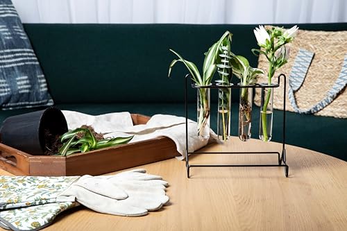 Grace River Propagation Station, Iron & Glass Planter, 8x8x8 inches, 4 Test Tubes, Indoor & Outdoor - color: Black