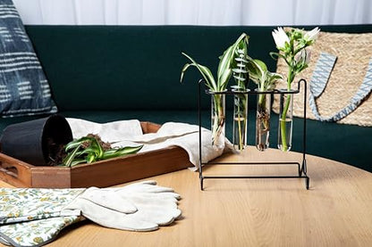 Grace River Propagation Station, Iron & Glass Planter, 8x8x8 inches, 4 Test Tubes, Indoor & Outdoor - color: Black
