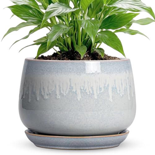 7 Inch Planter Indoor, Ceramic Pots for Plants, Grey-White | Round Plant Pot for Indoor Plants, Decorative Flower Pots with Drainage and Saucer, House Decor, Gardening Gifts for Women - size: 7 Inch, style: Grey-white