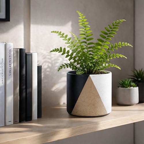 D'vine Dev 2-Pack Cachepot with Clear Pot, 6.5 in, Midnight Mesa, 93-V-C-2 | Dual-Pot System, Root Visibility, Bottom Watering Support, Enhanced Drainage, Artistic Stoneware Design, Easy Plant Care - color: Midnight Mesa, size: 6.5” Cachepot + 6“ Clear Gr
