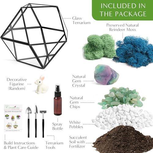 Creations by Nathalie DIY Geometric Glass Terrarium Kit with Moss & Tools | DIY geometric glass terrarium kit with moss, tools, and supplies for creating an indoor terrarium display with your plants. - color: 7” Geometric Dodecahedron