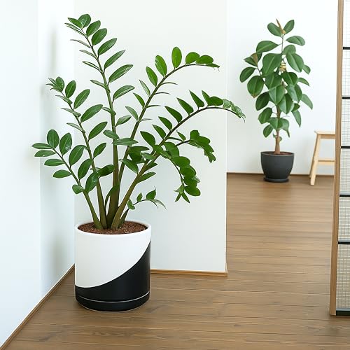 D'vine Dev 10 Inch Ceramic Planter Pot, Black White Diagonal, 94-O-E-K | Modern Cylinder Design, Drainage Hole & Saucer Included, Stable Structure, Elegant Home Accent - color: Oblique Monochrome Black & White, size: Large