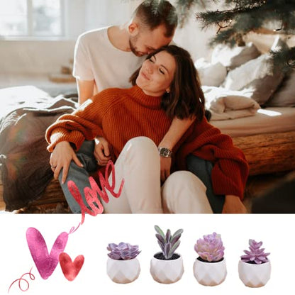 CADNLY Fake Succulent Plant Set Desk Plants Faux Succulents Pots Mini Purple Decor
