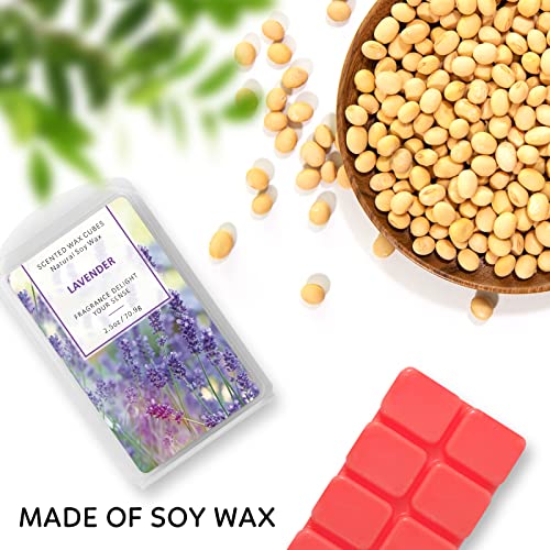 Wax Melts, Scented Melts Cubes for Wax Warmers, 4 x 2.5 oz | Summer Flower Scent Wax Melts - Rose, Lavender, Jasmine, Cherry, Home Fragrance Decor