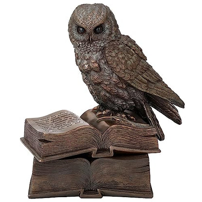 Veronese Design 7 1/8 Inch Owl Perched On Top of Books Cold Cast Resin Bronze Finish Trinket Stash Box