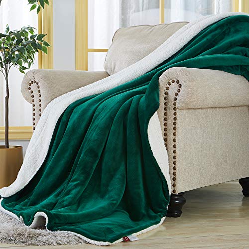 Sherpa Fleece Throw Blanket, Green, 50x60 inches | Double-Sided Super Soft Luxurious Plush Blanket Throw Size - color: Green, size: 50"×60"
