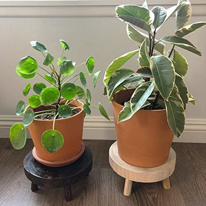 TOPZEA Set of 2 Mini Wooden Stool Display Stand, Wood Riser for Bonsai, Flower Pot, Small Potted Plant Stands Round Rustic Planter Stools Pedestal Risers for Garden, Patio, Home