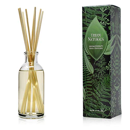 Coconut Breeze Reed Diffuser Oil Set with Reed Sticks – Warm Coconut, Pineapple and Tahitian Vanilla - Made in The USA - color: Coconut Breeze