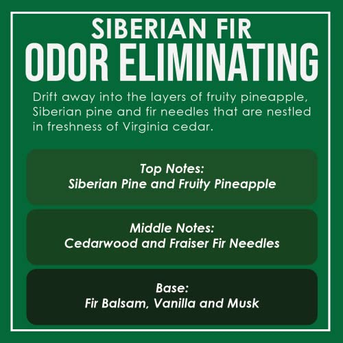 Siberian Fir Odor Eliminating Highly Fragranced Candle - Eliminates 95% of Pet, Smoke, Food, and Other Smells Quickly - Up to 80 Hour Burn time - 12 Ounce Premium Soy Blend - color: Siberian Fir