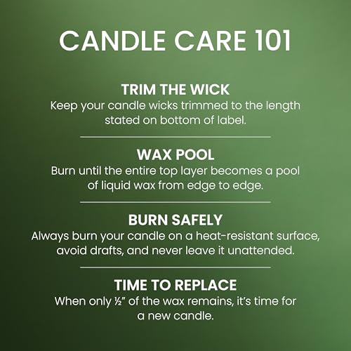 Yankee Candle Balsam and Cedar, Scented Candle, 14.5oz 3-Wick Candle Jar with up to 40 Hours Burn Time, Giftable - color: Balsam & Cedar, size: 14.5oz