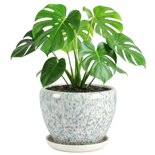 10.2 Inch Ceramic Planter with Saucer Leak-Proof Mesh &Drainage, Round Plant Pot with Gardening Gloves for Indoor Outdoor Plants (Blue Crackle Glaze) - color: Blue Crackle Glaze, size: 10.2 Inch