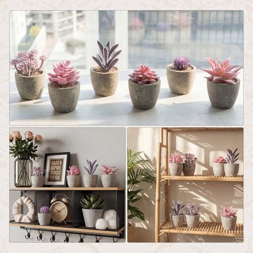Set of 6 Artificial Succulents Potted - Realistic Mini Fake Cactus Plants in Paper Pulp Pots, 2-4'' Mixed Sizes for Farmhouse Shelf, Bathroom, Coatrack Shelf, Bedroom Indoor(Elegant Style) - style: Elegant Style
