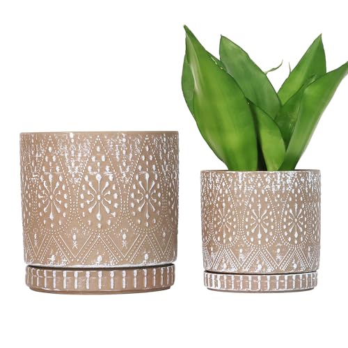 8 Inch + 6 Inch Plant Pot with Drainage Holes and Saucers, Indoor Ceramic Planter for Plants Succulent Orchid Flower Pots - color: Clay White, size: 8Inch+6Inch